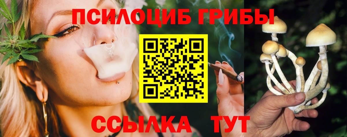 Галлюциногенные грибы мухоморы Дзержинский