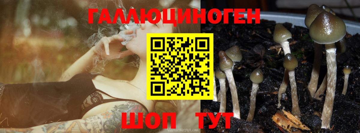 Дзержинский  Галлюциногенные грибы мухоморы  Вход с VPN 